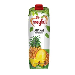 Tamek Ananas Meyve Suyu 1 lt ürün resmi