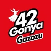 Picture for manufacturer 42Gonya