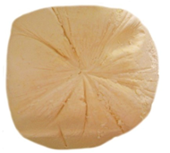 Resim Ardahan Eritme Peynir (Gorcolo) 1 Kg