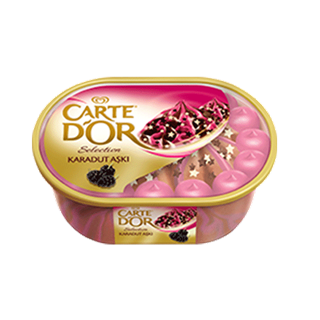 Algida Carte Dor Selection Bitter Çikolata 850 Ml ürün resmi